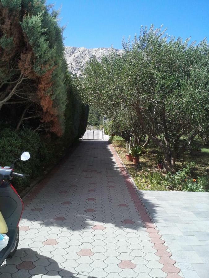 באסקה Apartman Pavla מראה חיצוני תמונה